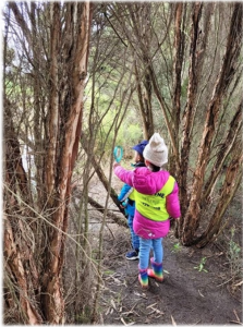 Imagine Cranbourne Bush Kinder