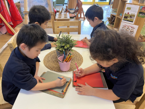 Imagine Childcare Kindergarten Program Prepares Children For School