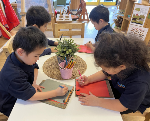 Imagine Childcare Kindergarten Program Prepares Children For School