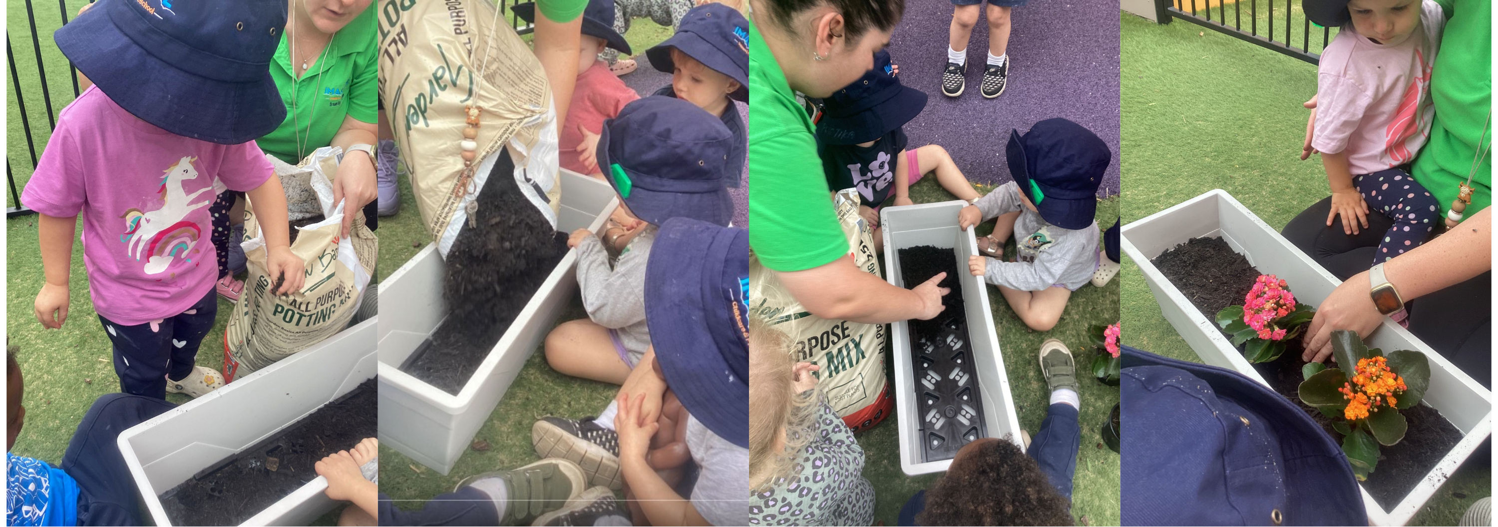 Children and Educators at Imagine Childcare and Preschool Blueridge Park are planting flowers for their Toddler yards.