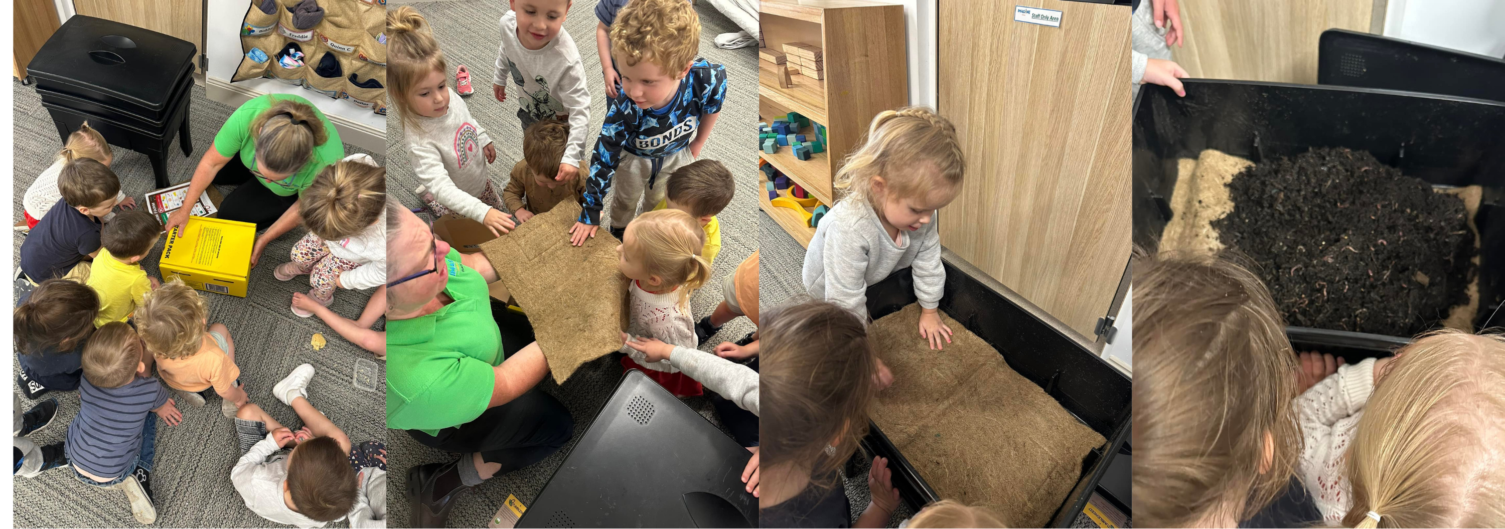 Imagine Childcare and Preschool Orange children and Educators setting up their new worm farm.